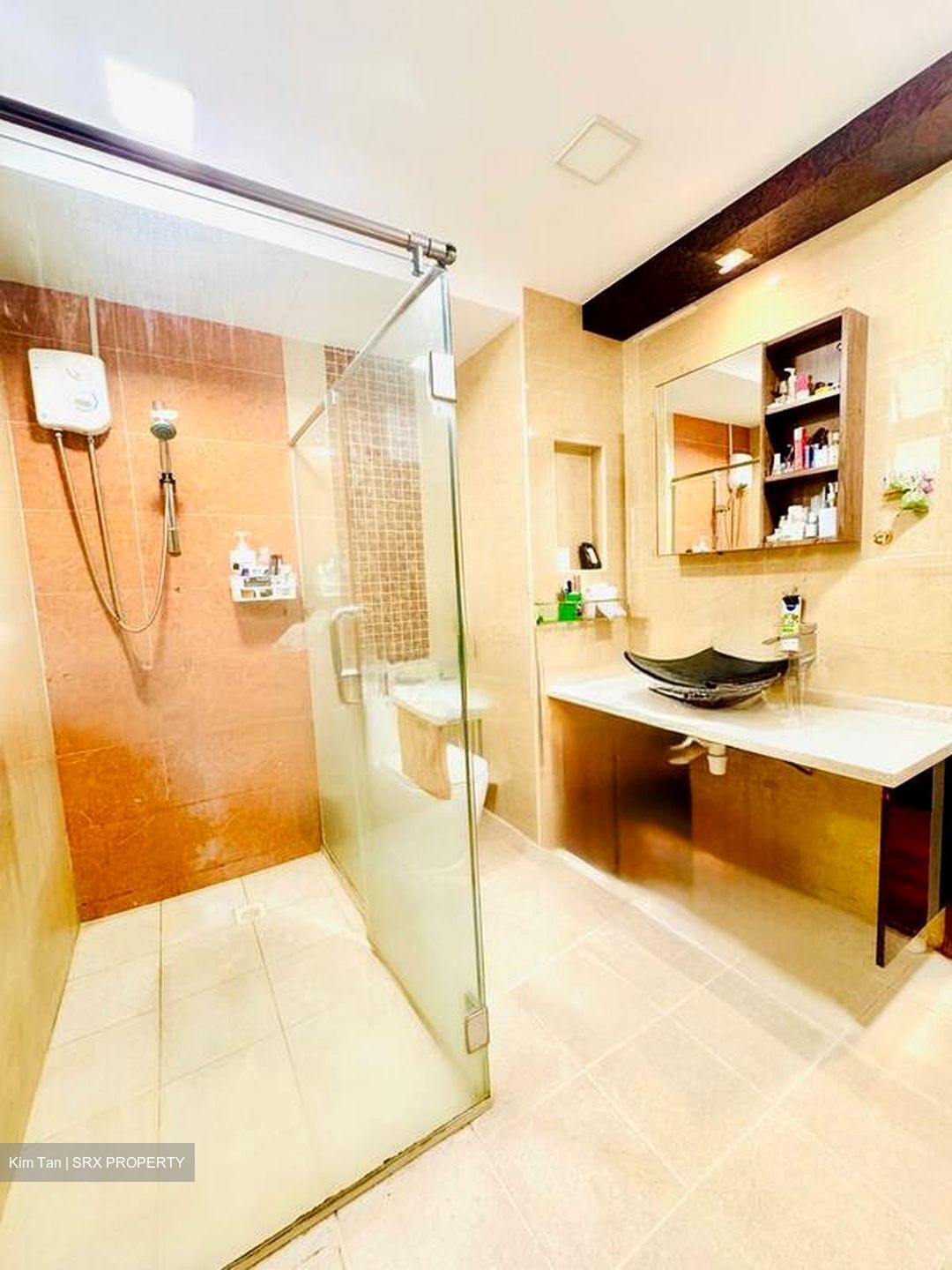 Seletaris (D27), Condominium #496063301